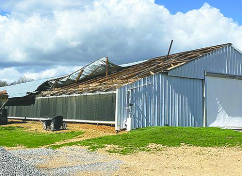 A chicken house in Hackleburg is pictured with the roof blown off due to high winds.