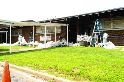 hamiltonelem