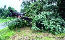 storm