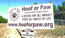 hooforpaw sign
