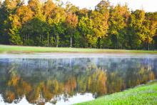 Dry conditions persist, even with a recent small rainfall, as the area dips into the fall season. In this photo taken on Steele Street on Oct. 2, low water levels can be seen in the pond, along with a tinge of color in the treeline.